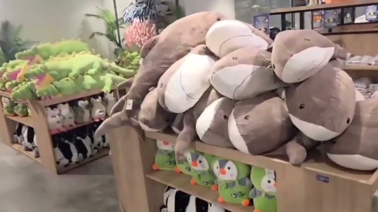 Cebu Ocean Park Sea Side in Cebu City, Philippines