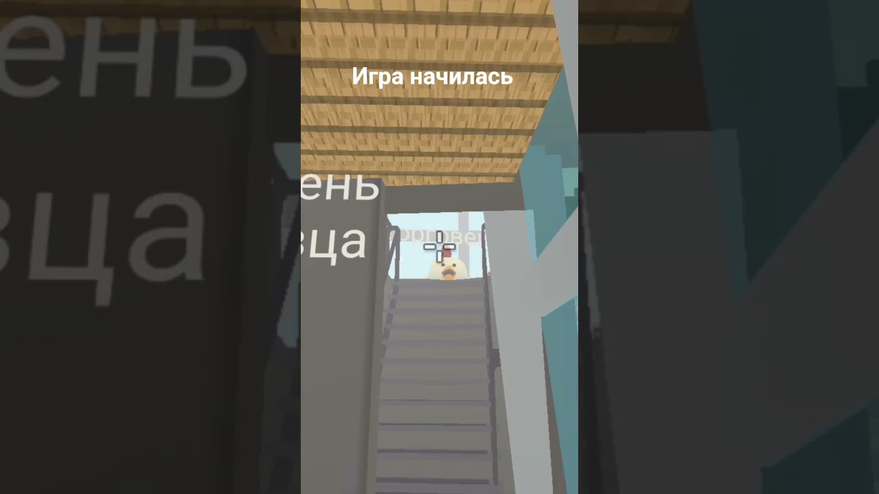 Новая игра в чикен гане 