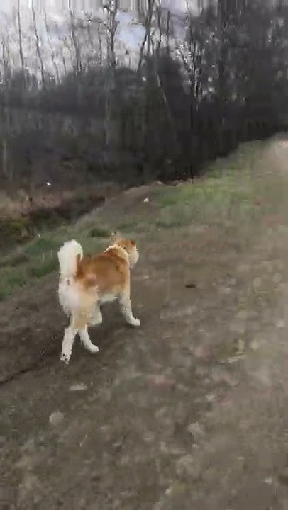 youtube.com