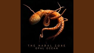 Video thumbnail of "Opal Ocean - Schmeckledy-Pop"