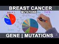 Breast Cancer Genes And Mutations 