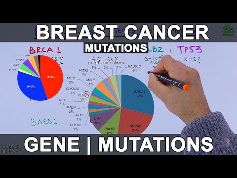 Video: Is metaplastische borstkanker genetisch bepaald?