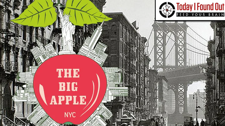 뉴욕시가 빅 애플로 불리는 이유는?
