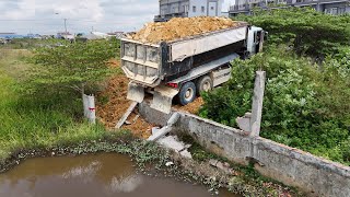 Excellent Processing, Powerful Dozer with Huge Dump truck fill soil