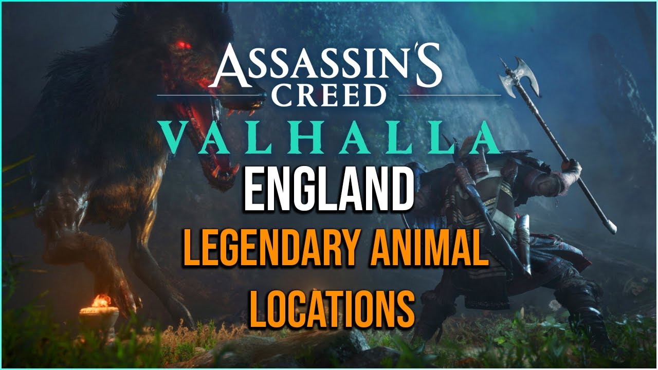 HUNTING ENGLAND LEGENDARY ANIMAL LOCATIONS Assassins Creed Valhalla