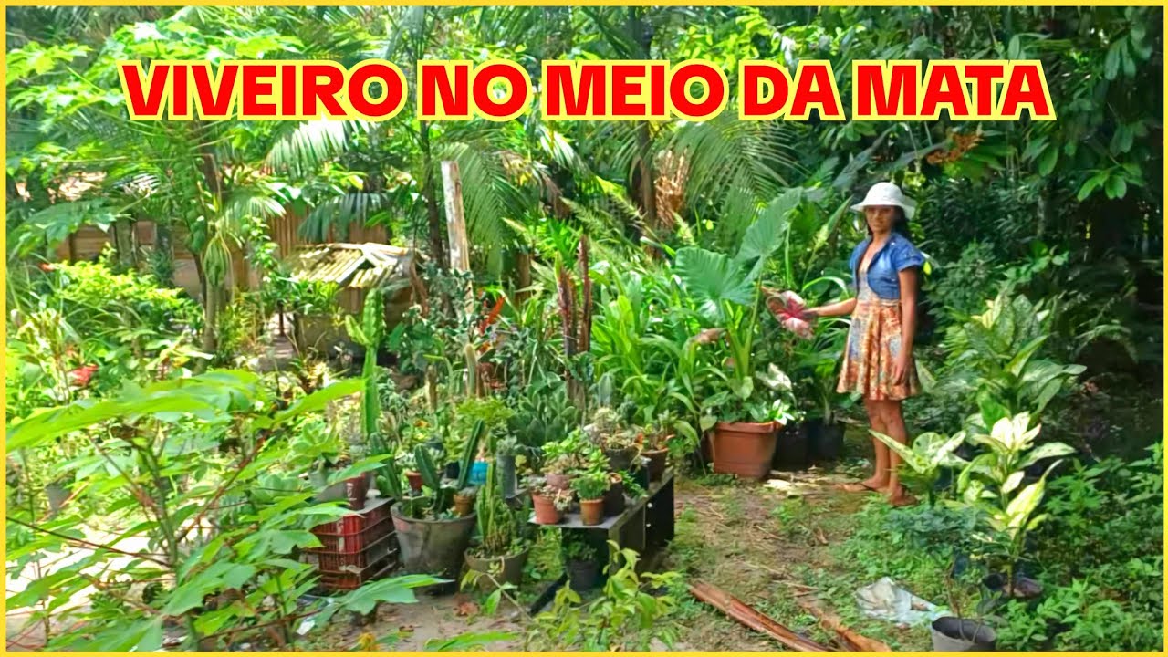 🍂🍃ELA TEM UM PARAISO  NO MEIO DA MATA😱🌿🪴💚