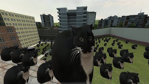 Trying to escape from Maxwell The Cat Horde!