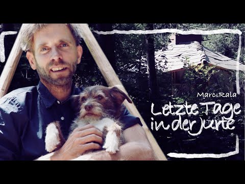 Video: Einen Hund aufgeben, auch wenn du es nicht willst – wikiHow