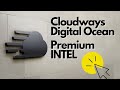 How Fast are the New Cloudways Servers? We Benchmark Premium Intel from Digital Ocean