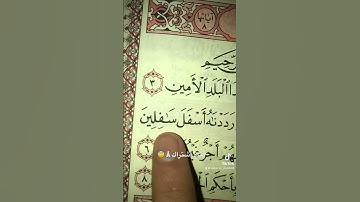 قرآن الكريم❤️سورة التين💚بصوت ماهر المعيقلي😇