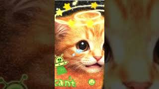 crying cat need shopport