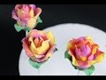 How To Make Rose Cake Pops Using Modeling Chocolate