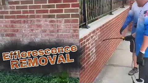 Efflorescence Removal