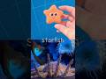 Sink or Float | Sea Animal Names for Kids to Learn: Octopus Basking Shark Walrus Starfish Fish