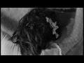 Eddi Front - Gigantic (Official Video)