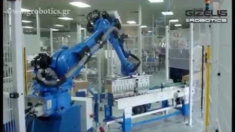 Gizelis Robotics | Company