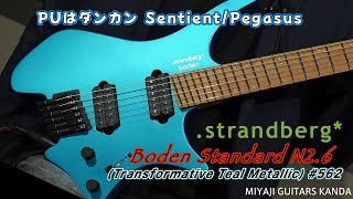 strandberg Boden Standard N2 6 Transformative Teal Metallic - YouTube