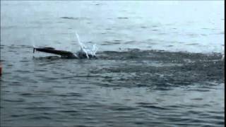 Genesis RC Boat Crash