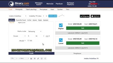 Binary.com trading secrets, Rise/Fall Strategy, index Volatility 75
