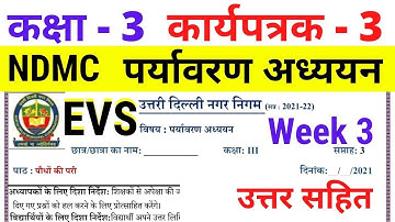 NDMC Class 3 EVS worksheet 3 solution Week 2 (15/06/2021) || पर्यावरण अध्ययन कार्यपत्रक 3 Class 3rd