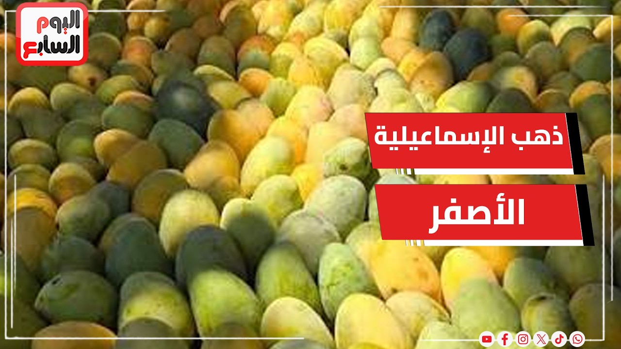 ����������� ����� ������� �� ���.. ���� -����� ������- �� ����� ��� �������
 - نشر قبل 11 دقيقة