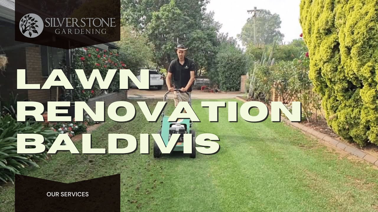 Aeration, Vertimowing and Top Dressing Baldivis YouTube