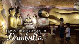 Exploring Dambulla by tuktuk | cave temples, golden buddha and great food! | Sri Lanka with kids 13