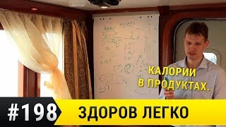 Калории в продуктах. Факты и мифы. Польза и вред. Калории в продуктах. Факты и мифы. Польза и вред.
