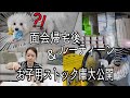 【地味に忙しい】面会帰宅後ルーティーン&お子用ストック庫大公開!!