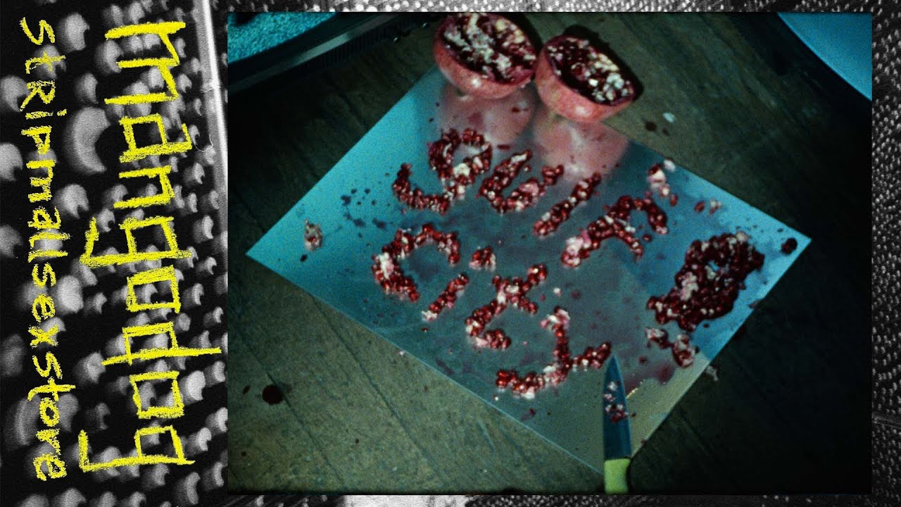 MangoDog - Gulf City (Official Video)