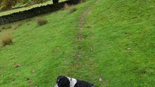 Windermere To Staveley On The Dales Way.