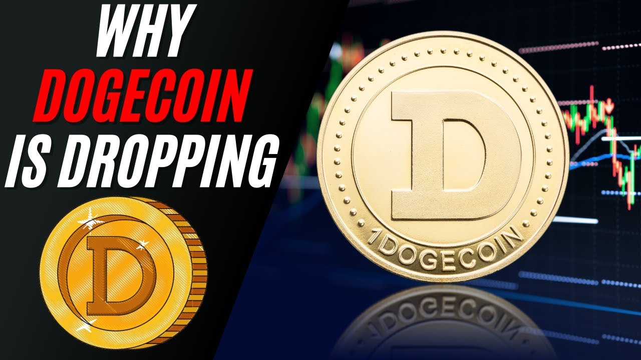 WHY IS DOGECOIN DROPPING | WHATS GOIN ON WITH DOGECOIN 🚀