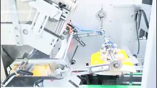 One-Stop Packaging Solutions – From Primary Packaging to End-of-Line Automation Net Worth