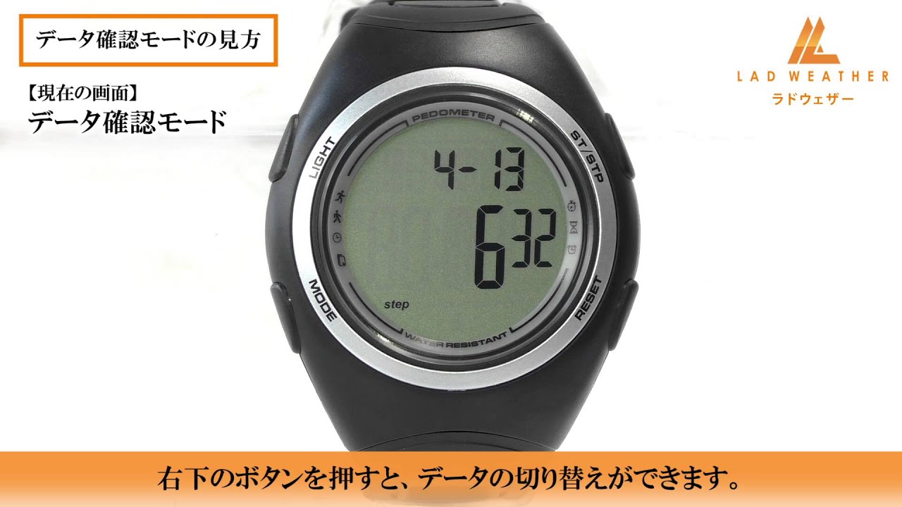 Ladweather Pedometer Master 気安く Ⅱ ラドウェザー