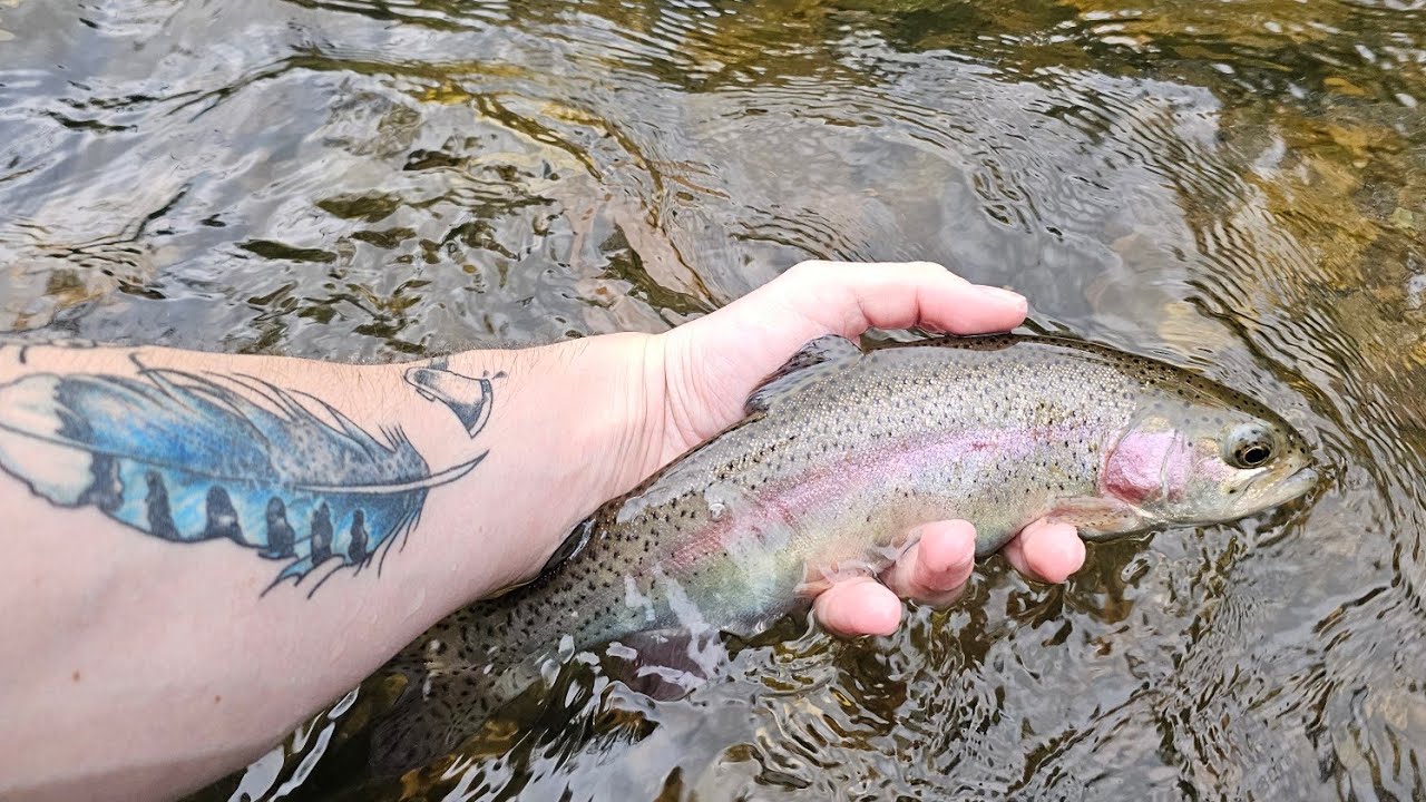 using the Moonshine Rod co. Epiphany Fly Rod 😁  