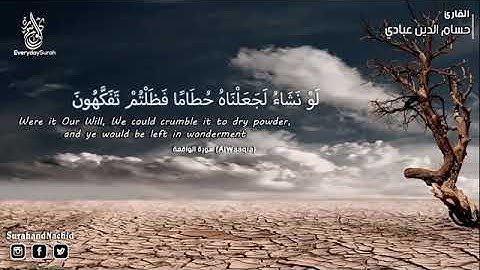 سورة الواقعة+سورةالرحمن+سورة الفتح للشيخ حسام الدين عبادي