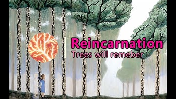 Reincarnation: Nonlinear science vs art | ELECRUNES