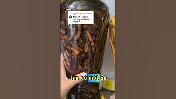 Cây cối xay giúp các anh xay thóc giã gạo cả đêm #thaoduoc