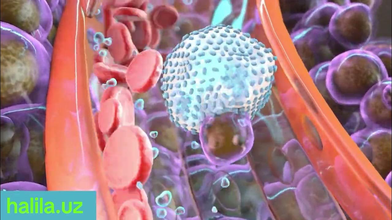 Natalya rossi Natalya va dosti cum fest porno onlayn