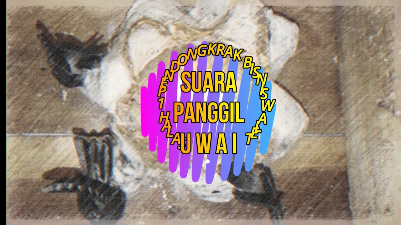 SP. Uwai pemecah koloni khusus daerah lintasan sangat manjur untuk menigkatkan produktifitas sarang