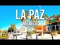 Driving Around La Paz | Baja California Sur | Mexico [4K]