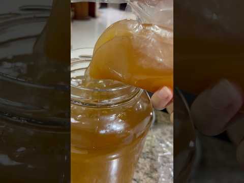 Pelihara bakteri hidup 🦠