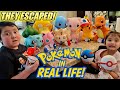 REAL LIFE POKEMON HAVE ESCAPED INTO OUR HOUSE! WE HAVE TO CATCH EM ALL! Official Pokemon Day!