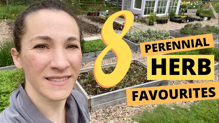 8 FAVOURITE Perennial Herbs for my Zone 6 Garden 🪴Talking extra fast because it’s FREEZING out…