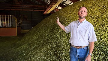 Goose Island - Endless Session IPA