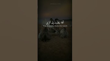 جزء من سورة الغاشية للقارئ (عبدالرحمن مسعد) #قرآن #عبدالرحمن_مسعد #سورة_الغاشية #quran