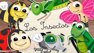 INSECTOS en ESPAÑOL para niños – Vídeos educativos para niños