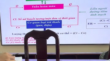 DƯỢC LÝ CTUMP: DƯỢC ĐỘNG HỌC P2| Pgs Dương Xuân Chữ