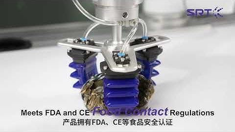 SRT soft robotics demo: video1AA