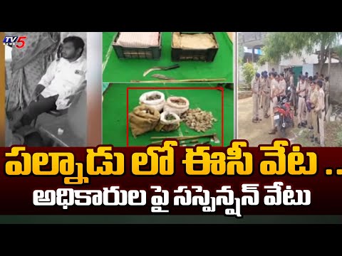 పల్నాడు లో ఈసీ వేట ..| EC Serious On Palnadu Incident | Officers Suspension | TV5 News - TV5NEWS